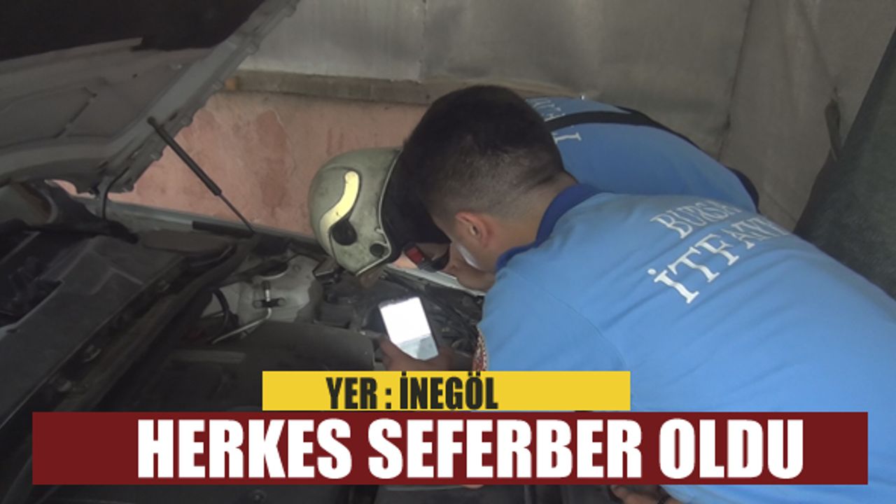 Arabaya giren yavru kedi gurbetçi aileye zor anlar yaşattı 