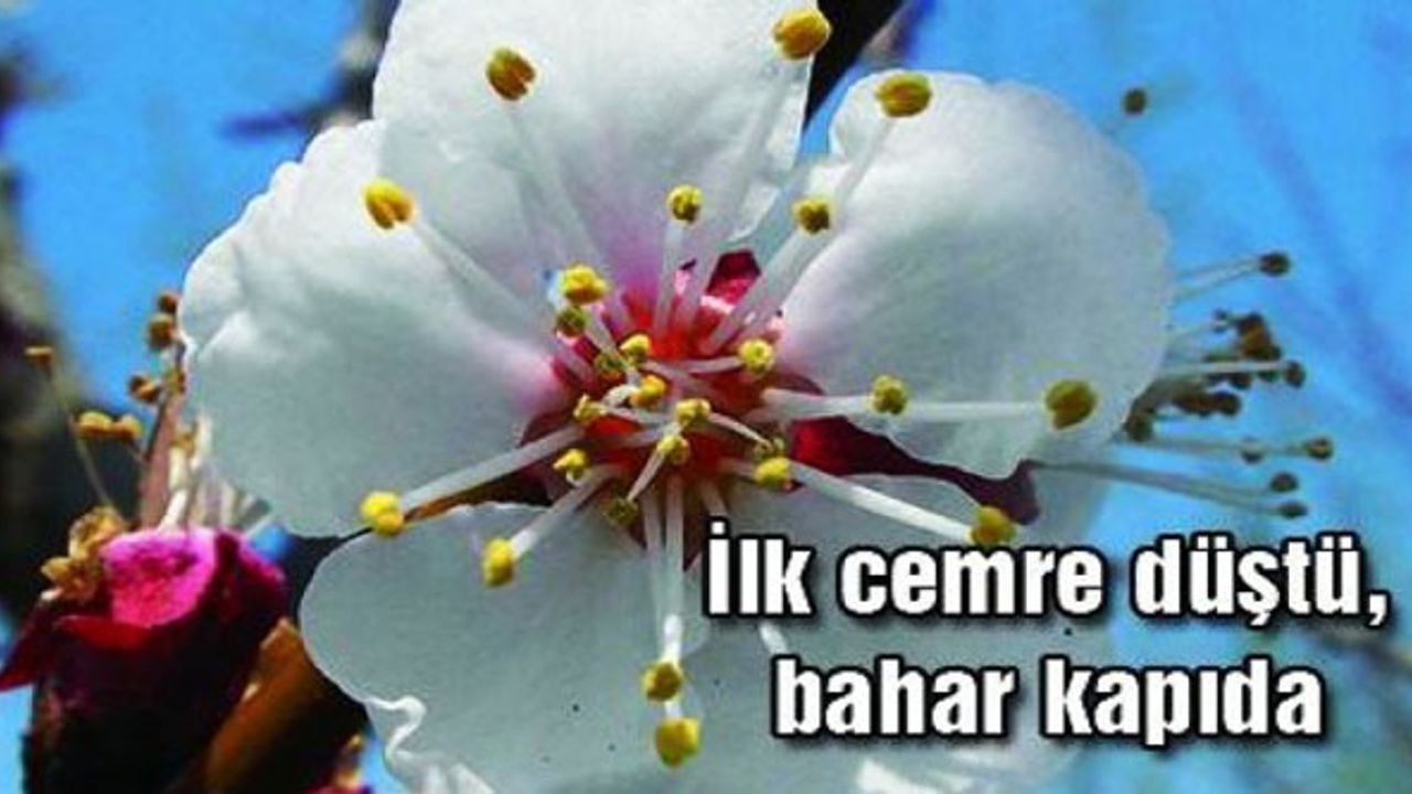 Cemre düştü mü? İlk cemre ne zaman, nereye düşecek?