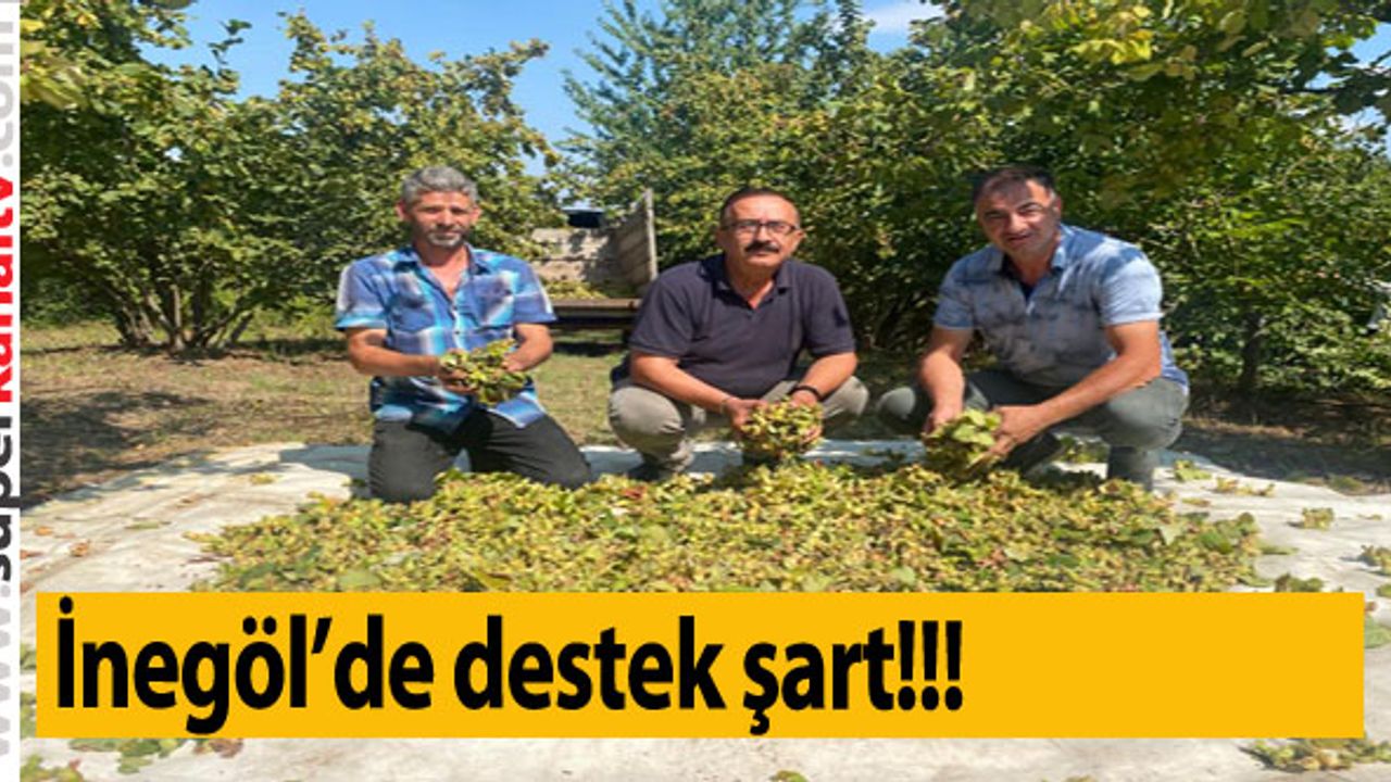 Fındık üretiminin İnegöl’de artması için destek şart