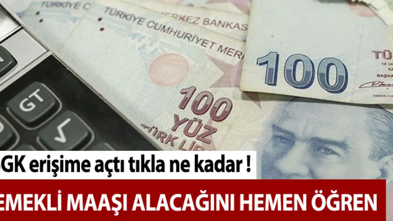 SGK erişime açtı! Tıkla ne kadar emekli maaşı alacağını hemen öğren