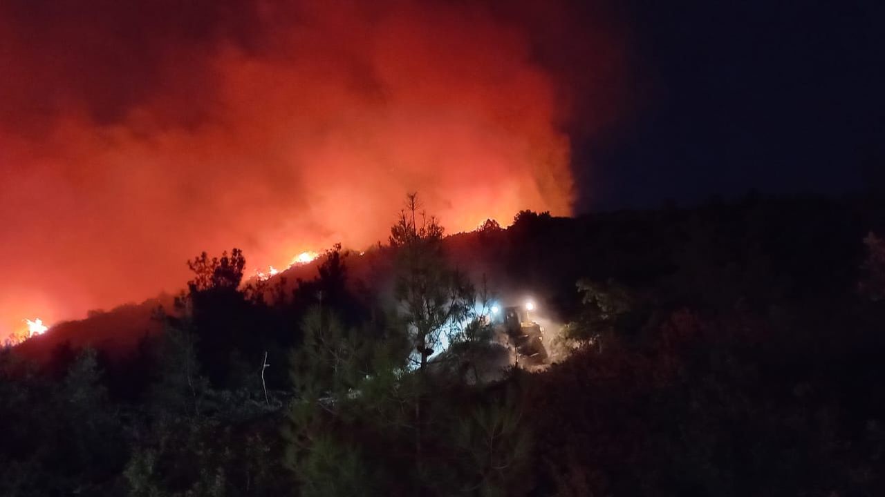 Bursa Yenişehir'de orman yangını