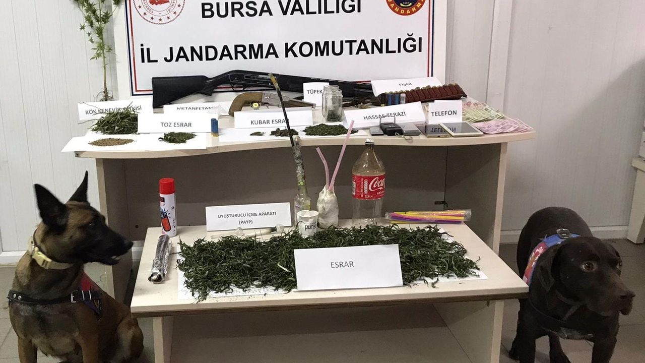 İnegöl Jandarma'dan uyuşturucu operasyonu