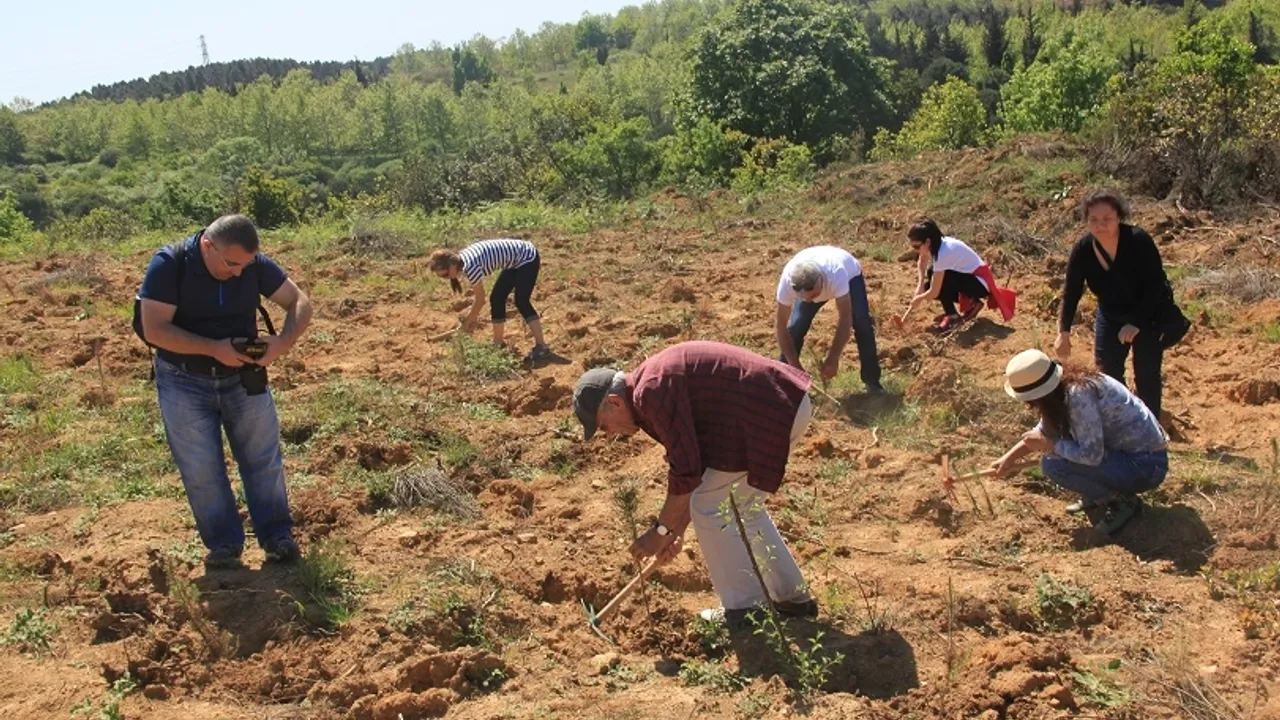 ÇEKÜL'den 'acele etmeyin' uyarısı! Yanan bölgelerde fidan dikimi için acele edilmemeli!