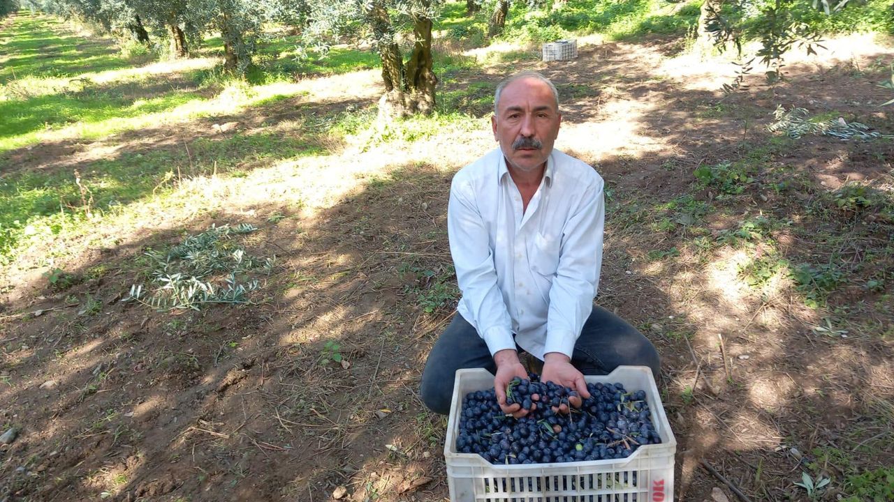 CHP’li Eşiyok’tan Marmarabirlik’e sert tepki