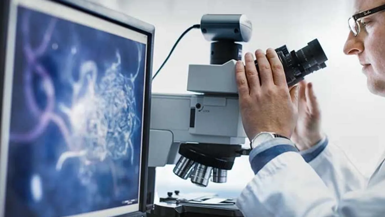 Bilimsel araştırma geliştirme hizmetleri revaçta