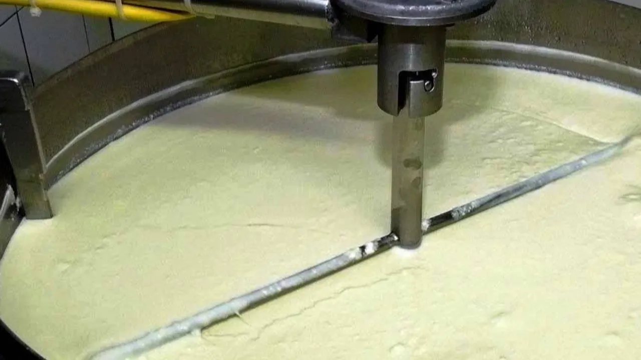 Süt ürünlerinde üretim artışı sürdü... Yoğurt üretimi liste başında