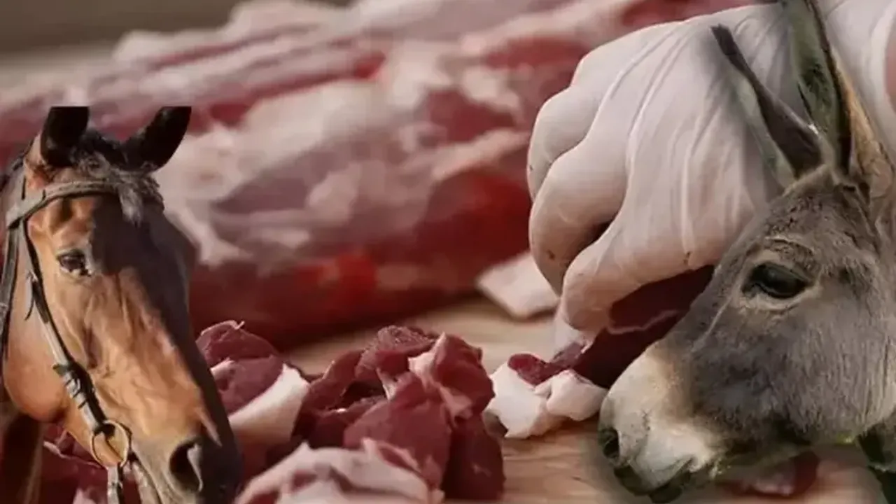Bursa'nın en sevilen mekanında at-eşek eti skandalı!