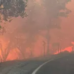 İBB ekipleri Balıkesir'e desteğe gitti