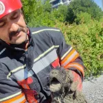 Malatya itfaiyesinden can dosta yardım eli