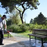 Manisa Büyükşehir zararlılarla mücadelede hız kesmiyor