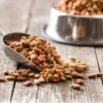 Yeni yapılan 31 bilimsel araştırmaya göre, vegan köpek maması ve vegan kedi mamasının iyi sindirildiğini ortaya koydu