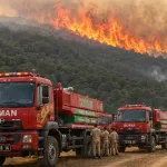 Bursa'da orman yangını! Havadan ve karadan yoğun müdahale