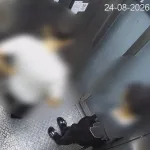 BursaRay'da asansör arızası değil, kamu malına zarar!