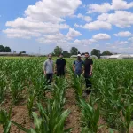 Büyükşehir'den Kocaeli tarımına yeni mısır hamlesi