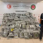 Gümrük'te uyuşturucu kaçakçılığına darbe! Hamzabeyli'de 288 kilo esrar ele geçirildi