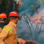 Marmaris Aksaz'daki orman yangını kontrol altına alındı