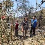 Muğla Seydikemer'de yangın sonrası seferberlik