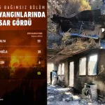 Son orman yangınlarında hasar ne kadar?