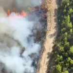 Antalya Serik'te orman yangını!