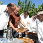 Bursa Büyükşehir'den Keles'te bal hasadı