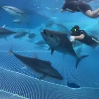 Antalya