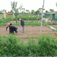 YAŞAM