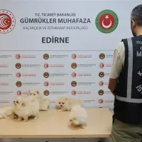 GÜNDEM