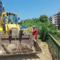 Mudanya