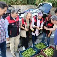 YAŞAM