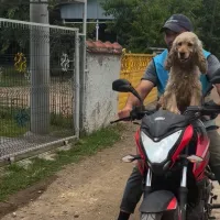 Düzce