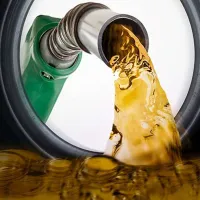 EKONOMİ