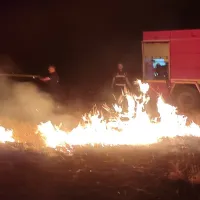 Van