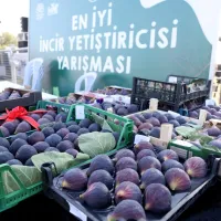 Nilüfer