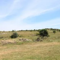 YAŞAM