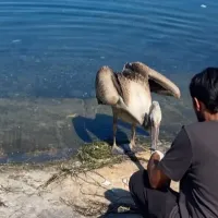 Mudanya