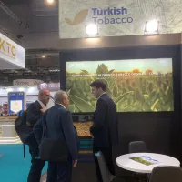 EKONOMİ