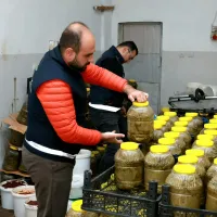 Osmangazi
