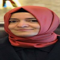 SİYASET