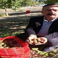 İNEGÖL