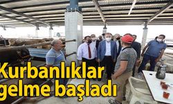 Yeni Hayvan Pazarında Kurbanlıklar Satışa Çıktı