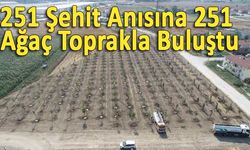 251 Şehit Anısına 251 Ağaç Toprakla Buluştu