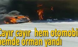 Cayır cayır böyle yandı