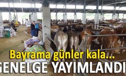 Tarım ve Orman Bakanlığı'ndan Kurban Bayramı genelgesi