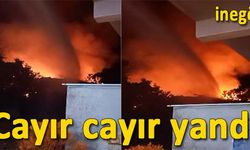 Yiğitköy mahallesinde 2 ev kül oldu