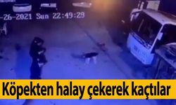 Köpekten halay çekerek kaçtılar, daha sonra köpeği de halaya kattılar