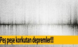 Van'da 4.6 şiddetinde deprem