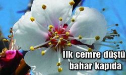 Cemre düştü mü? İlk cemre ne zaman, nereye düşecek?