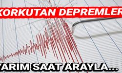 Van'da yarım saat arayla iki deprem