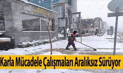 Karla Mücadele Çalışmaları Aralıksız Sürüyor