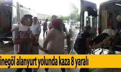 İnegöl Alanyurt yolunda kaza 8 yaralı